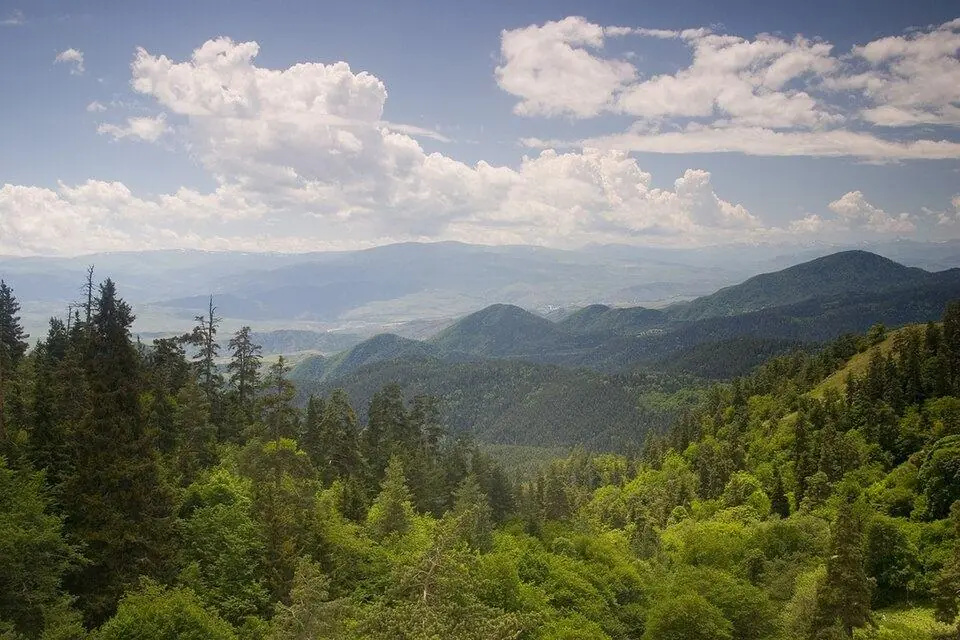 Borjomi-Kharagauli National Park
