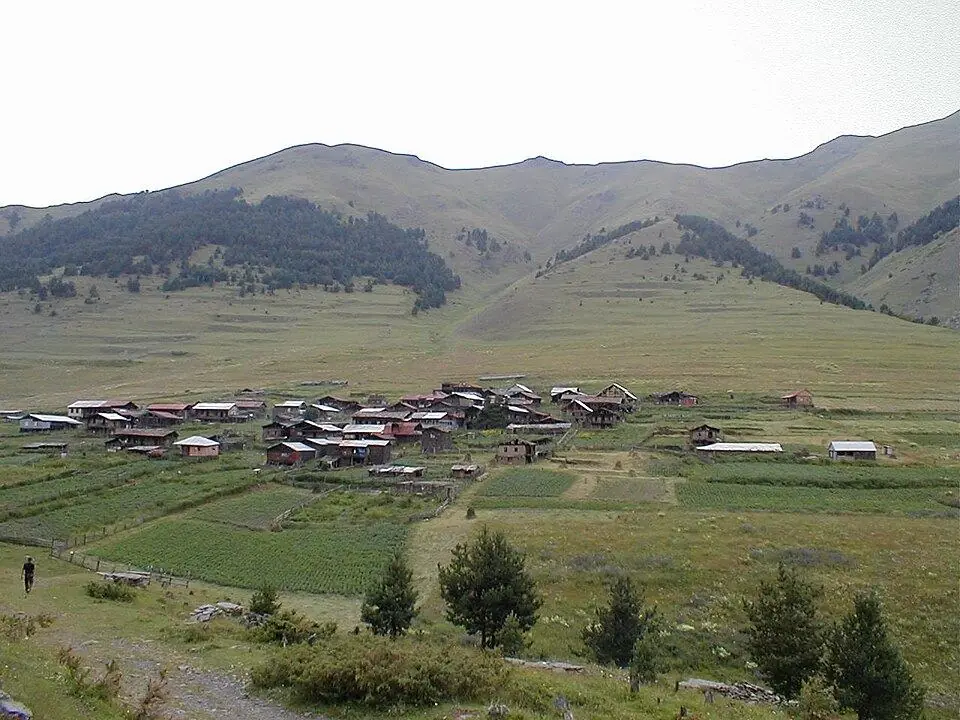 Дикло