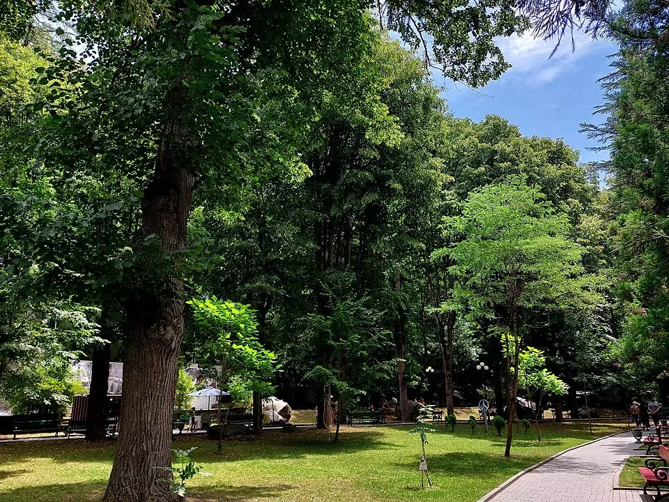 Borjomi Central Park in summer