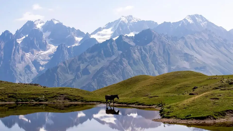 Jagged snowy Caucasus peaks reflected in a small pond with a grazing horse