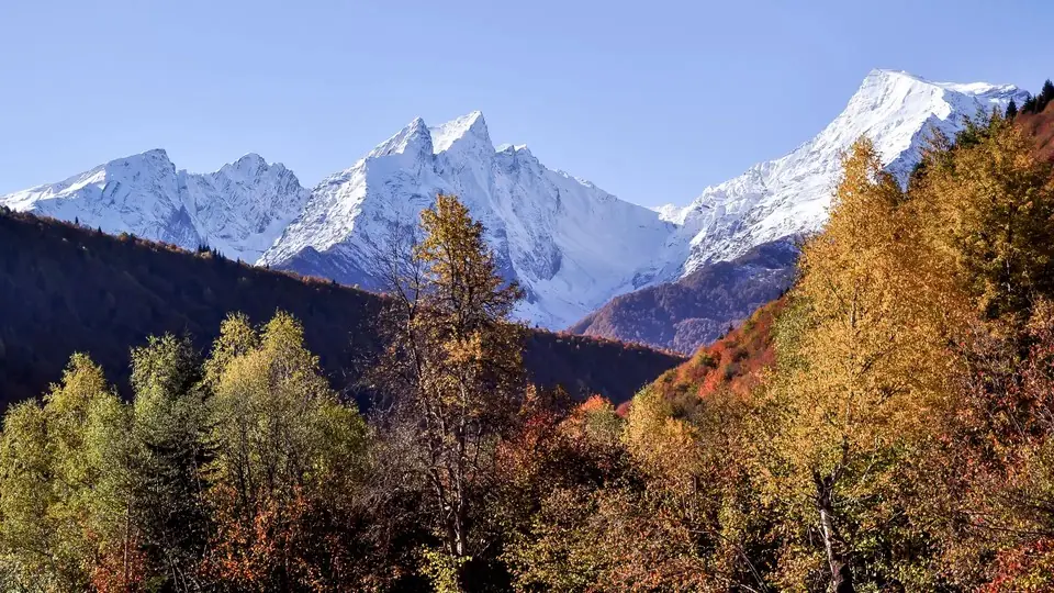Snowy Shoda peaks above golden and red autumn forest near Ghebi in Racha