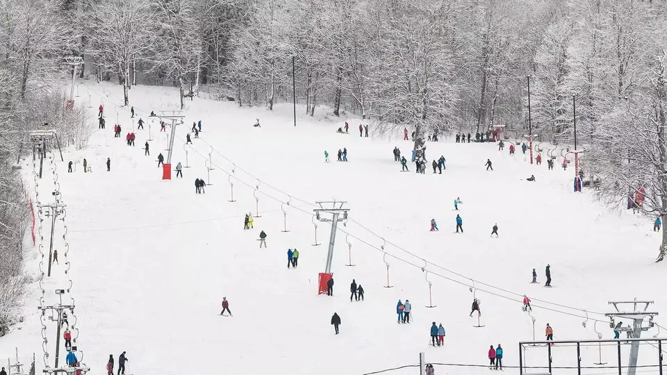 Many skiers on a wide snowy slope with drag lifts and frosted forest at Bakuriani