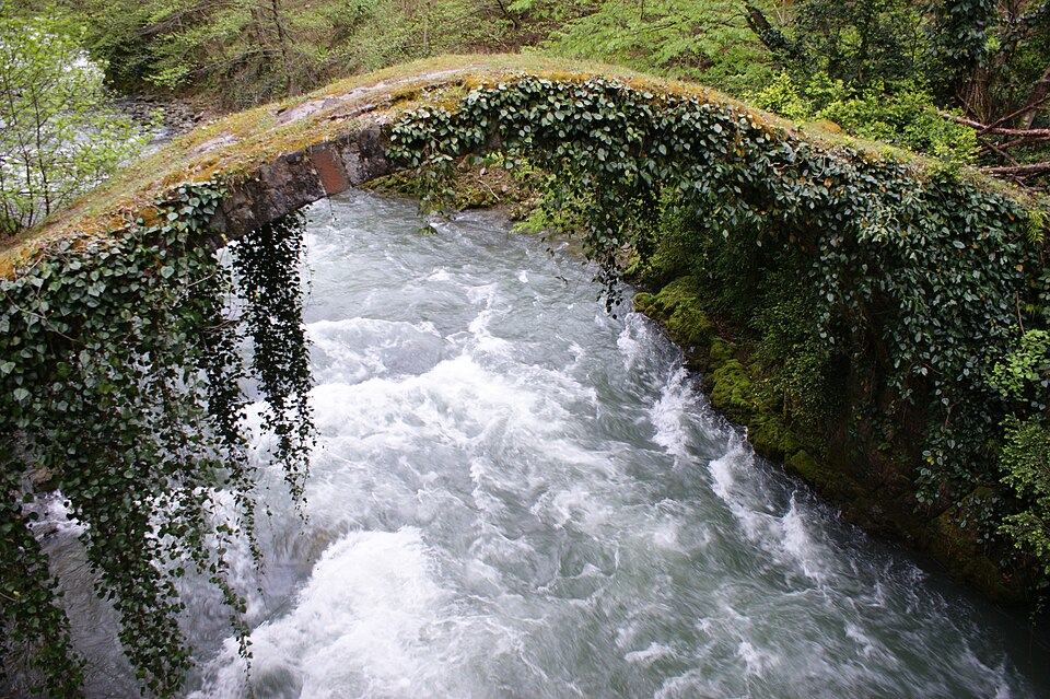 Kintrishi Protected Areas