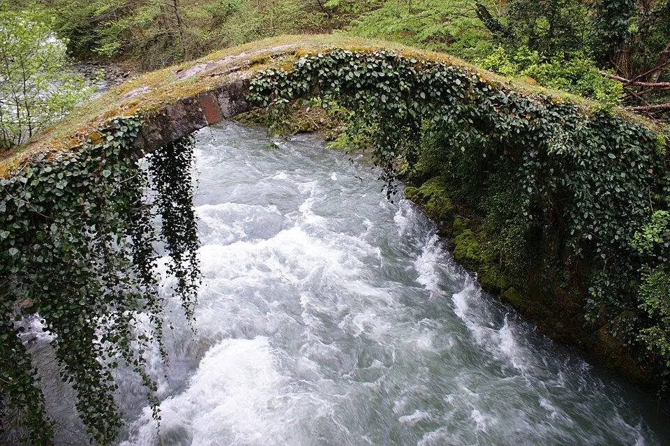 Kintrishi Protected Areas