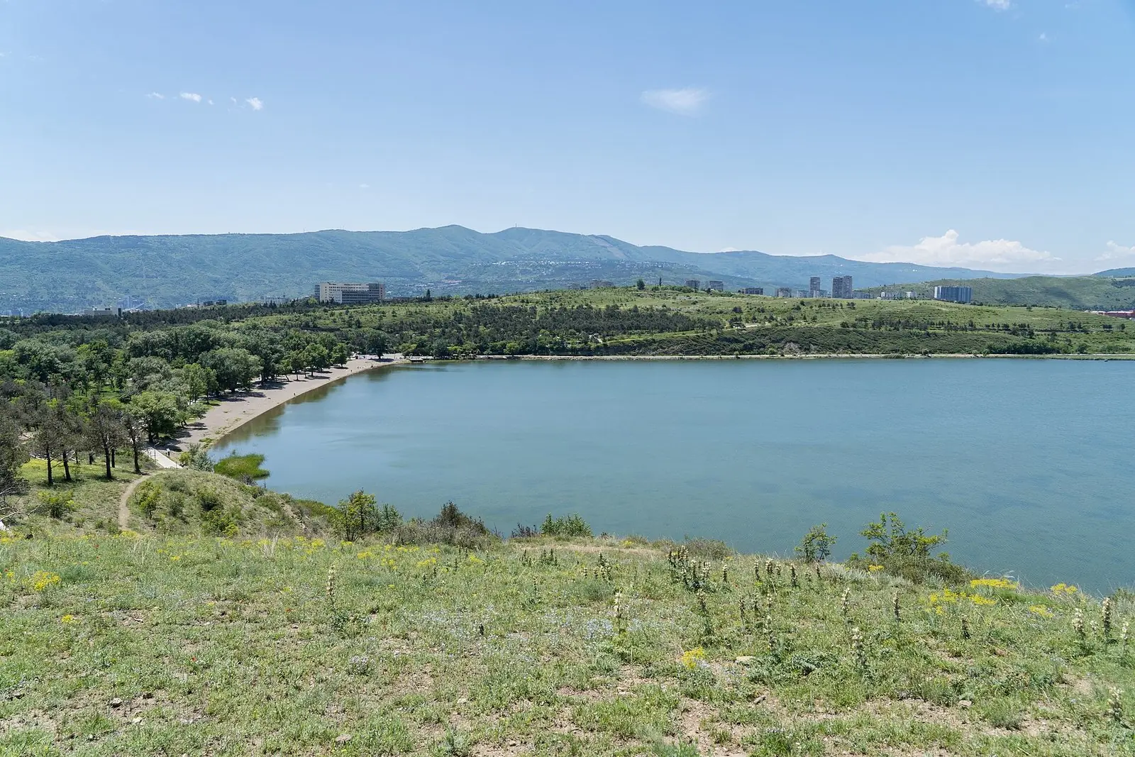 Lisi Lake in Tbilisi seen from the grassy slope above its shore, with the beach path, pines and the city's forested ridge behind