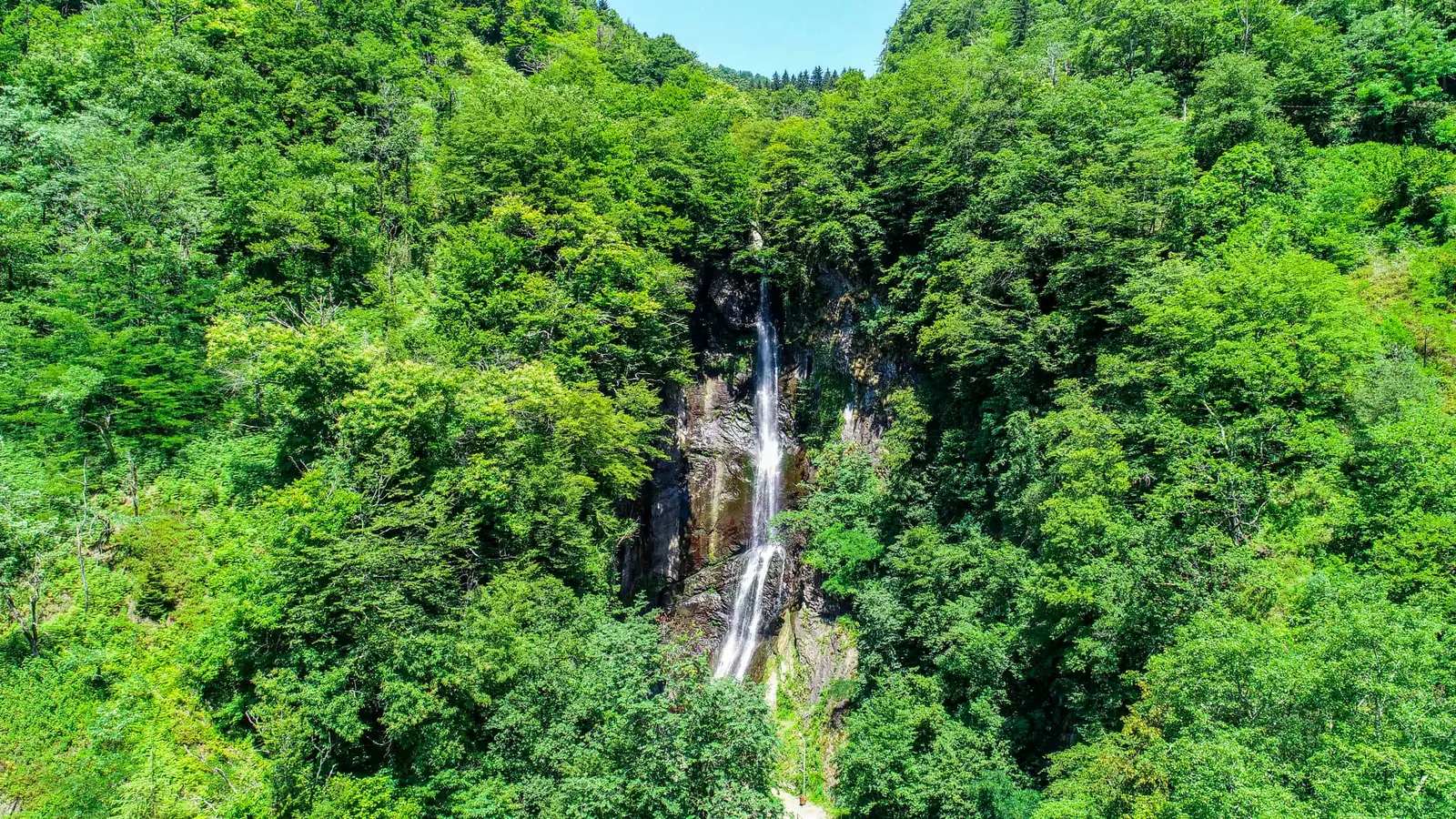 Makhuntseti Waterfall falling through green forest, seen from above
