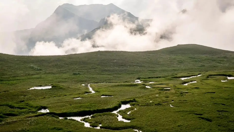 Alpine meadow with meandering streams below a cloud-wrapped peak in Lagodekhi