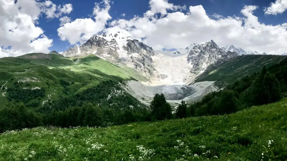 Adishi Glacier above green meadows and dark spruce trees on a sunny day