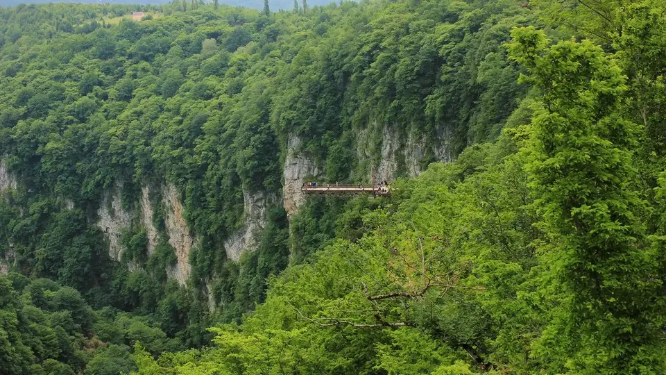 Forested cliffs of Okatse Canyon with the hanging steel viewing platform jutting out