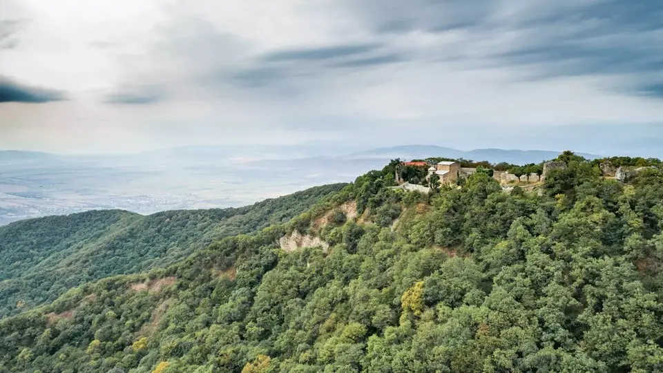 Forested Saguramo ridge with Zedazeni Monastery on its crest and plains beyond